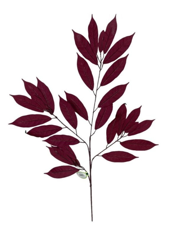 Rama de Ficus Verde-Mauve 50cm