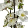 RAMA CEREZO 72CM