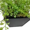 Arreglo De Helecho Adiantum 35cm