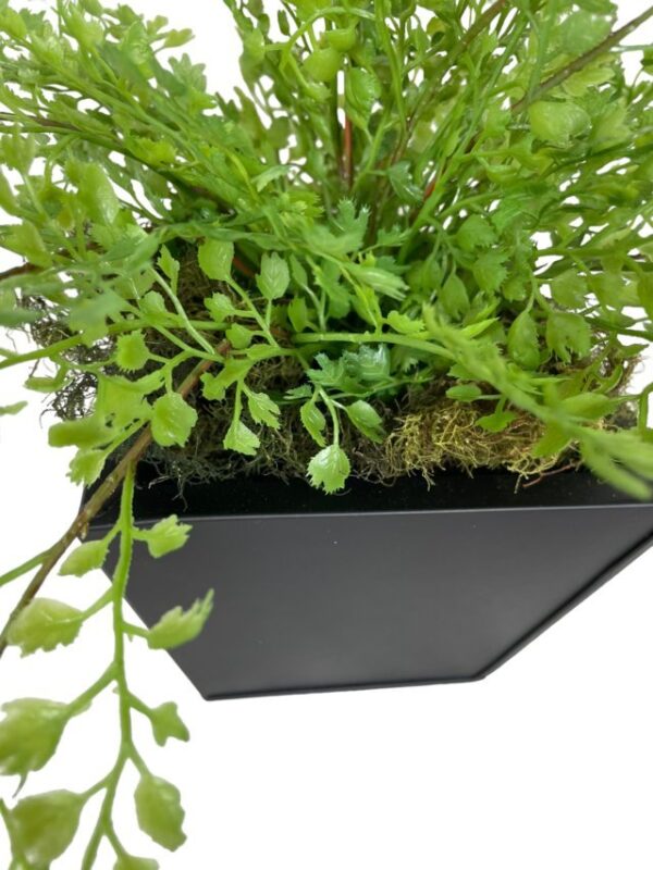 Arreglo De Helecho Adiantum 35cm