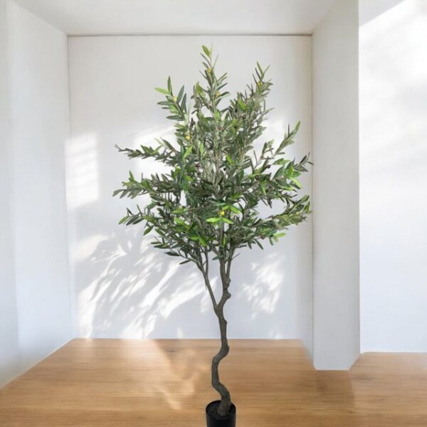 Árbol de Olivo 240cm