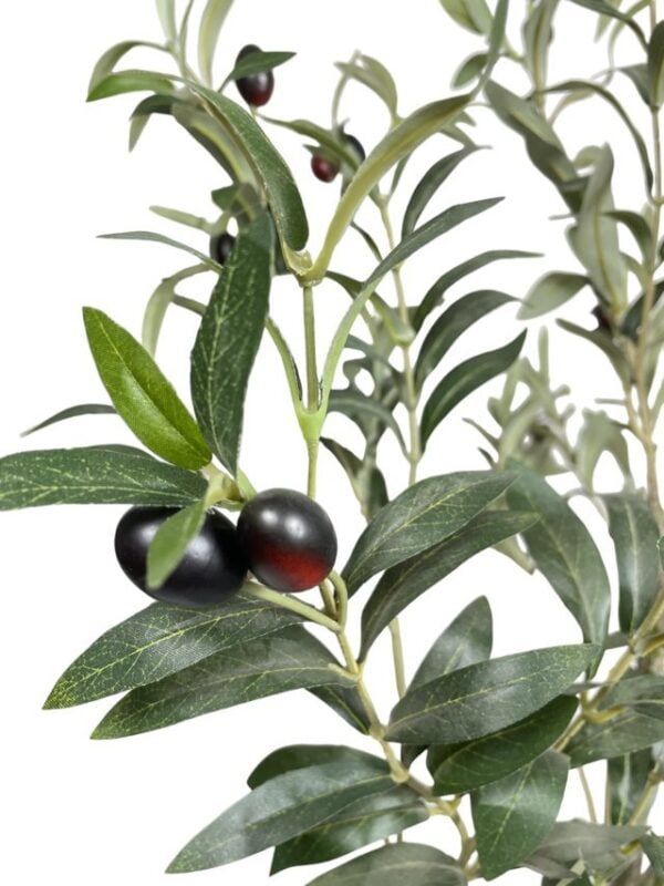 Arbol olivo 120cm