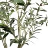 Arbol olivo 120cm