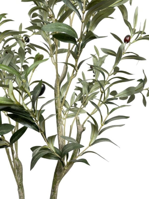 Arbol olivo 120cm