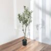 Arbol olivo 120cm