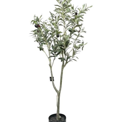 Arbol olivo 120cm