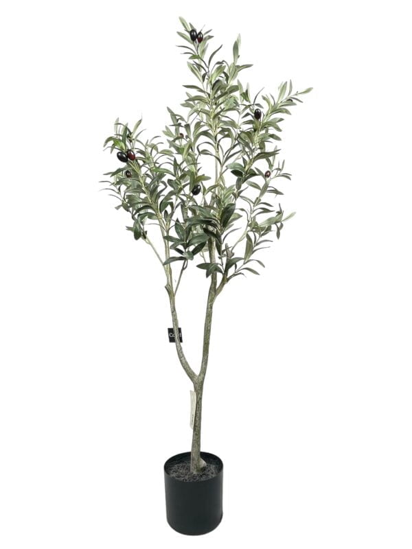 Arbol olivo 120cm