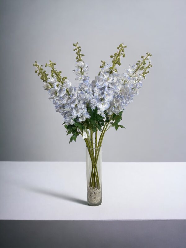 Delphinium Celeste 94cm