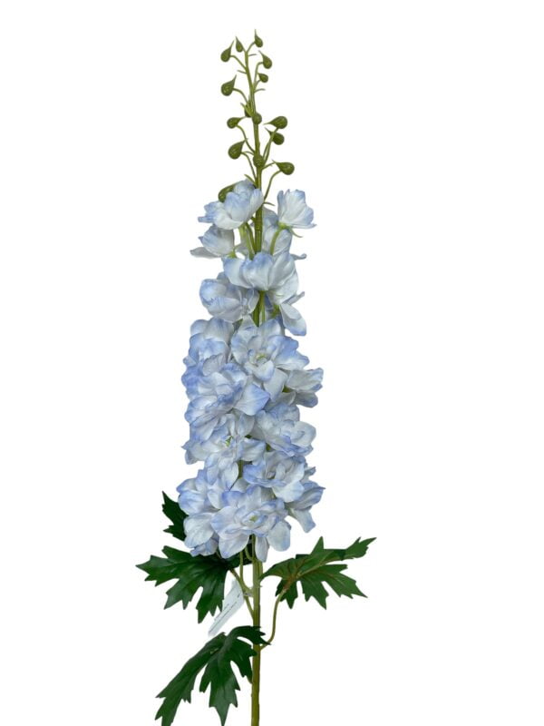 Delphinium Celeste 94cm