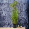 Pasto angelica 81cm