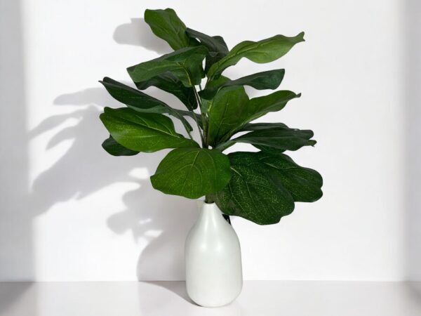 Rama ficus lyrata 56cm UV