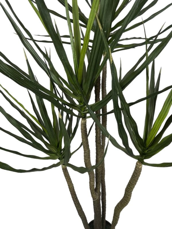 Árbol de Yucca 183cm