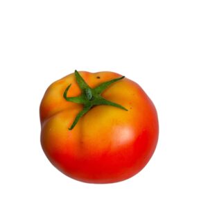 Tomate Artificial Corel