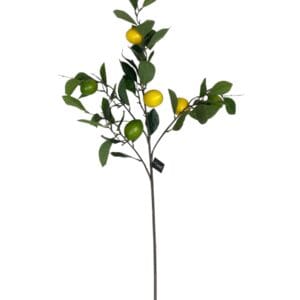 Rama de Limón de 95 cm