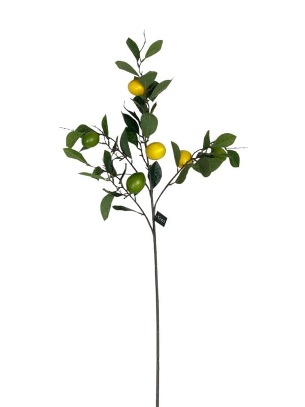 Rama de Limón de 95 cm