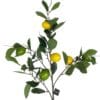Rama de Limón de 95 cm