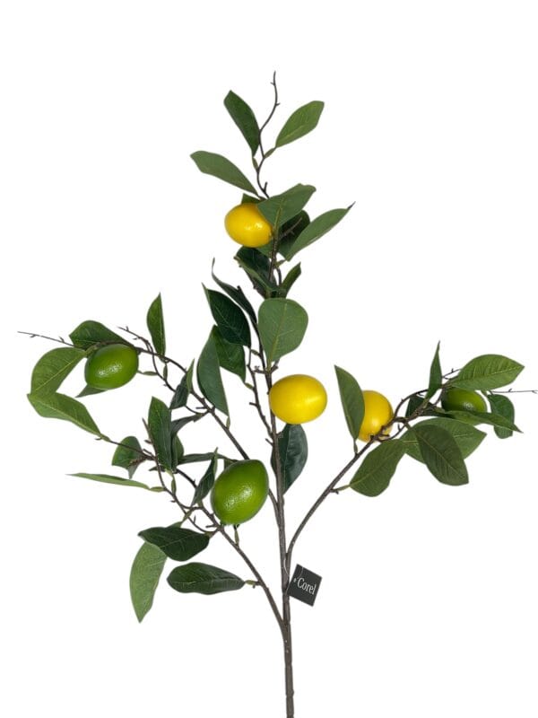Rama de Limón de 95 cm