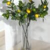 Rama de Limón de 95 cm