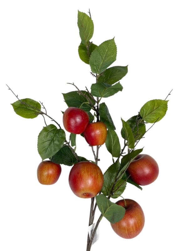 RAMA DE MANZANA