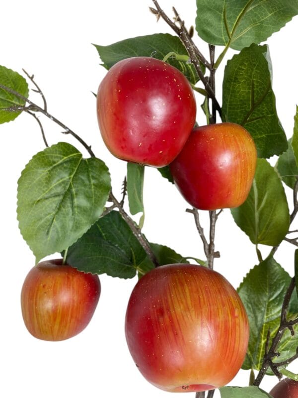 RAMA DE MANZANA
