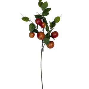 RAMA DE MANZANA