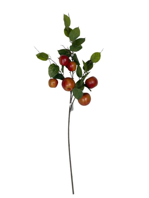RAMA DE MANZANA