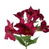 Astromelia fucsia