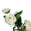Camelia Blanca 52 cm