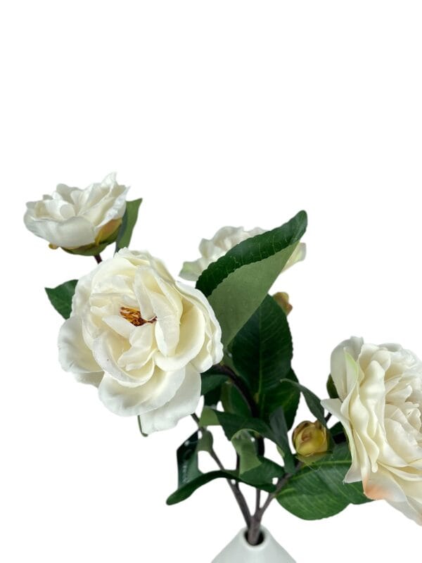 Camelia Blanca 52 cm