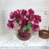 Buganvilla Rosa