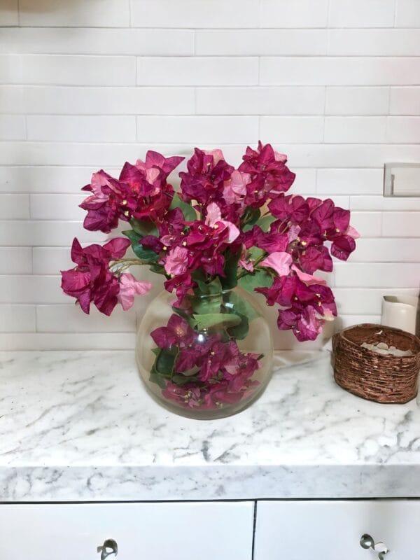 Buganvilla Rosa