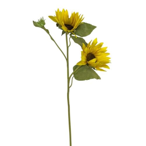 Flor Maravilla 52cm