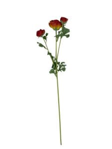 Renúnculo Rojo 73cm