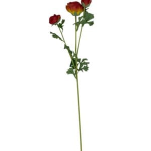 Renúnculo Rojo 73cm