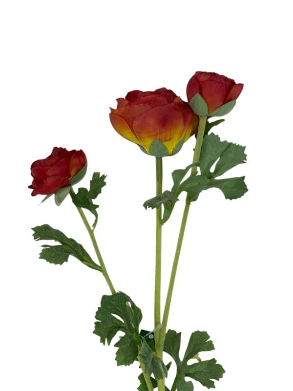 Renúnculo Rojo 73cm