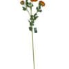Renúnculo Naranjo 73cm