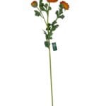 Renúnculo Naranjo 73cm