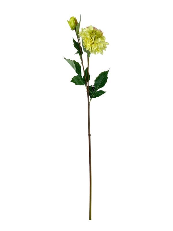 dahlia amarilla clara