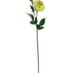 dahlia amarilla clara