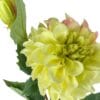 dahlia amarilla clara