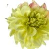 dahlia amarilla clara
