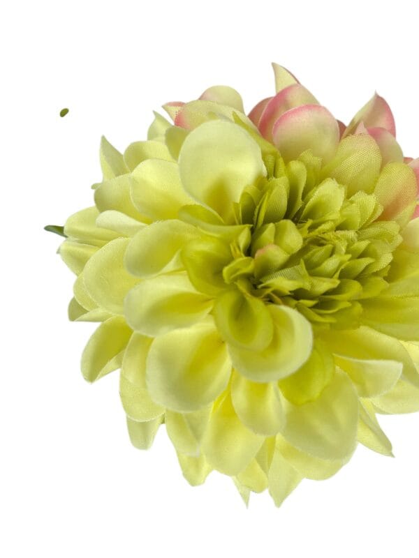 dahlia amarilla clara