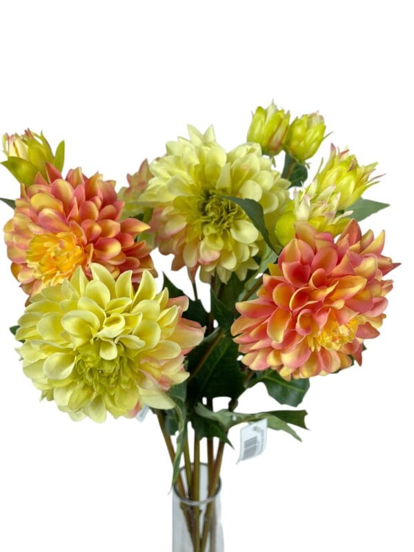 dahlia naranja rosa