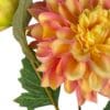 dahlia naranja rosa
