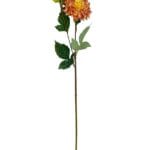 dahlia naranja rosa