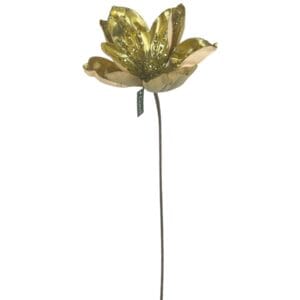 Magnolia Dorada 23 cm