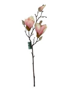 Magnolia Rosada 50cm