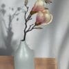 Magnolia Rosada 50cm