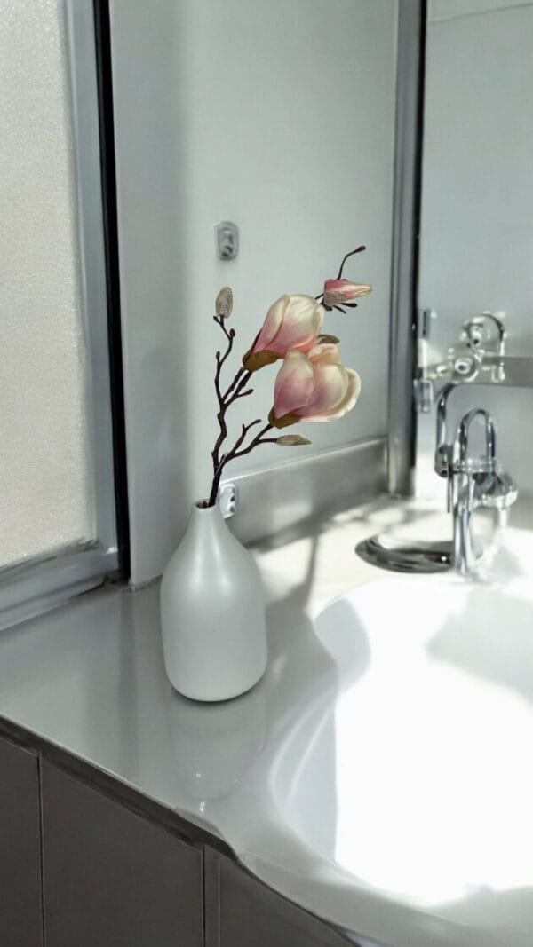 Magnolia Rosada 50cm