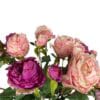 peonia rosada cerrada